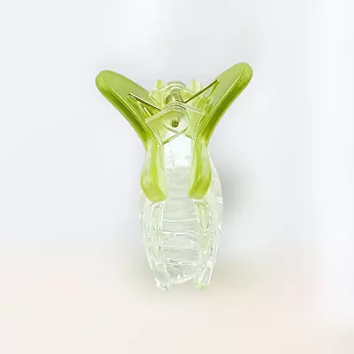 Chic Starfish Clear & Lime Green Hair Claw Clip - Medium Size