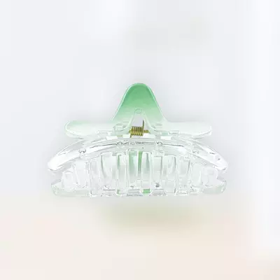 Chic Starfish Clear & Mint Green Hair Claw Clip - Medium Size